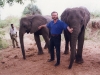 wow-in-africa-with-two-baby-elephants