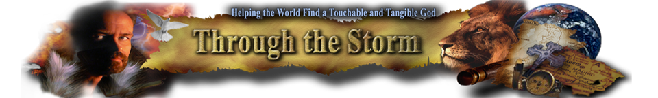 Through the Storm Ministries